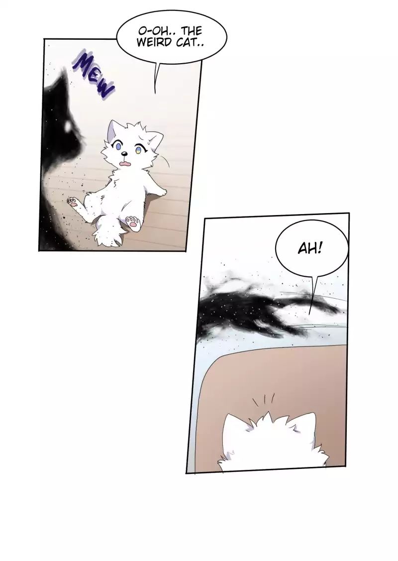 LUMINE - Manhwa chapter 9 - page 11
