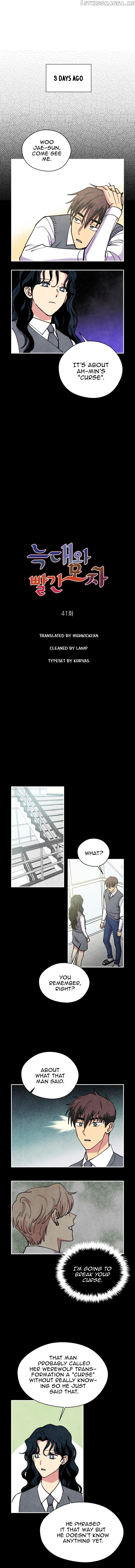 The Little Red Riding Hood chapter 41 - page 1