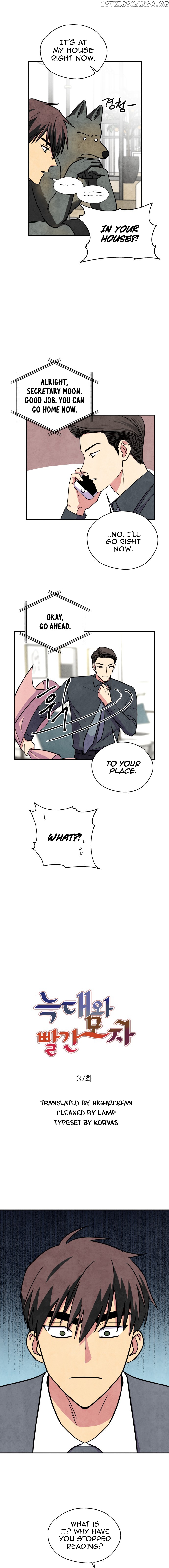 The Little Red Riding Hood chapter 37 - page 2
