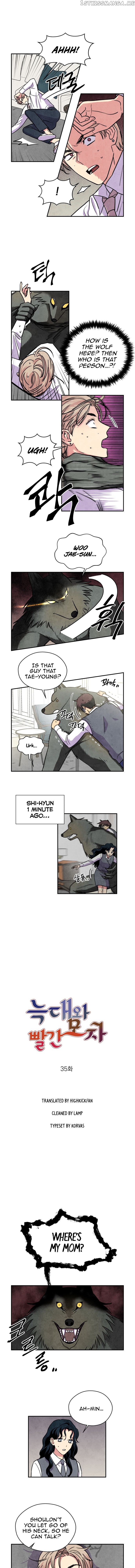 The Little Red Riding Hood chapter 35 - page 1