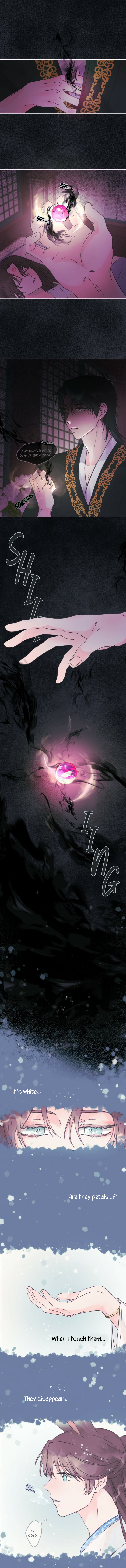 The Baby Dragon and the Rabbit Spirit chapter 5 - page 5