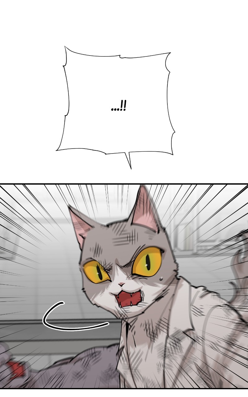 Meow Rangers Chapter 72 - page 108
