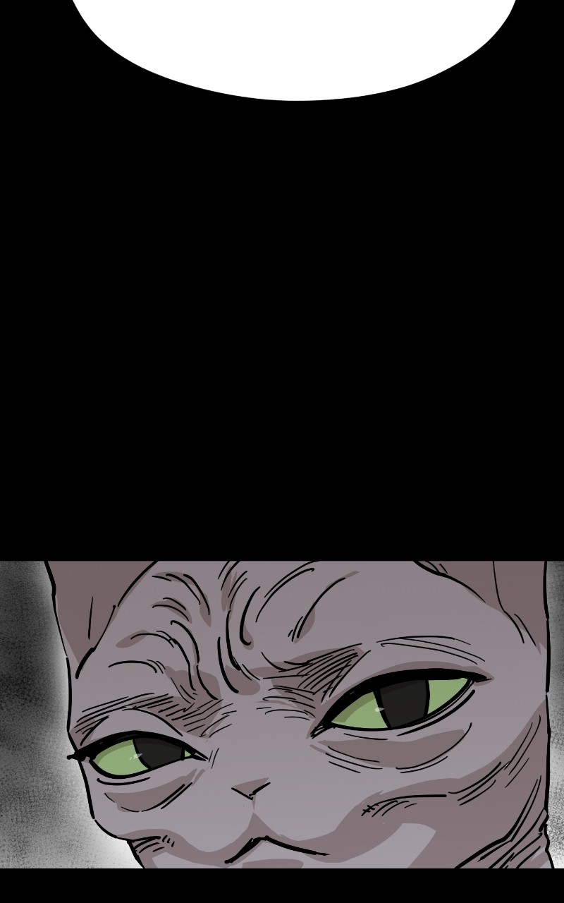 Meow Rangers Chapter 70 - page 17