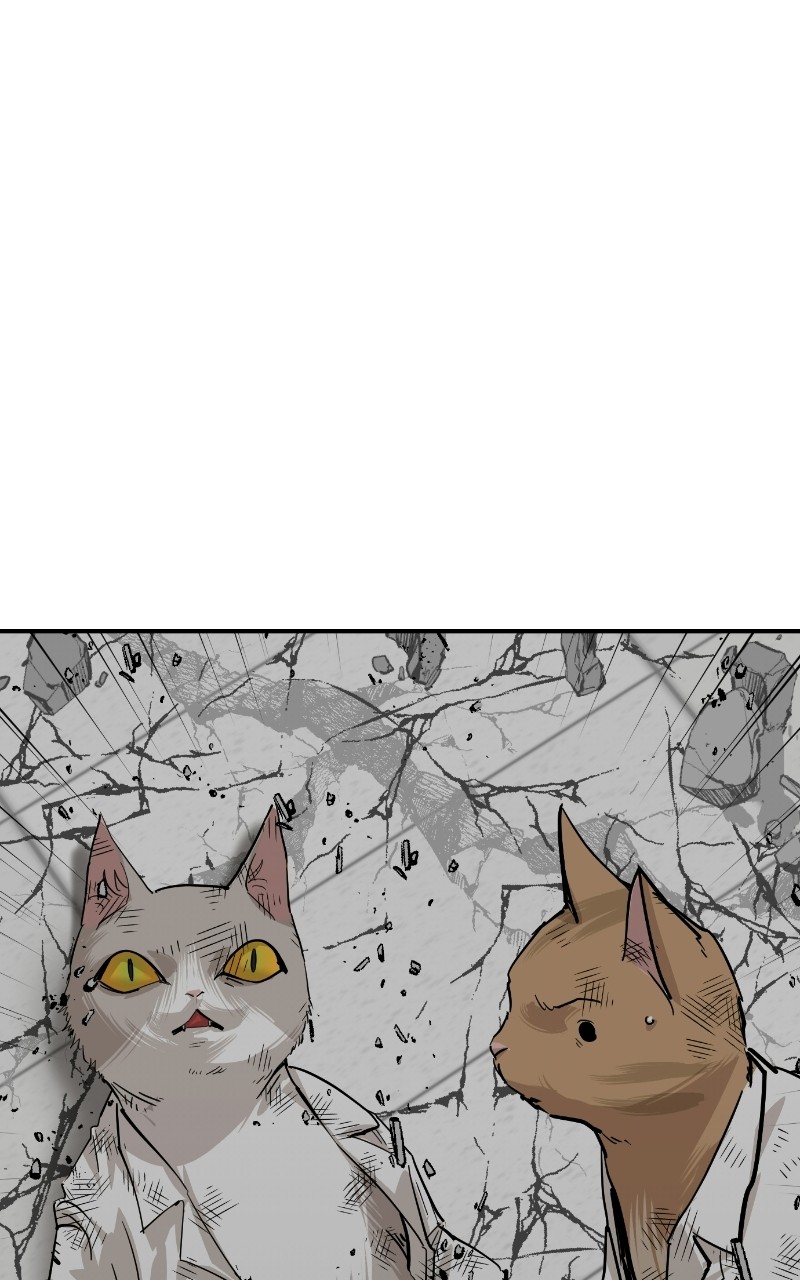 Meow Rangers Chapter 70 - page 34