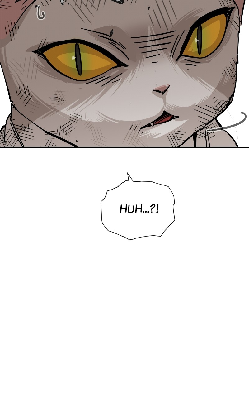 Meow Rangers Chapter 70 - page 38