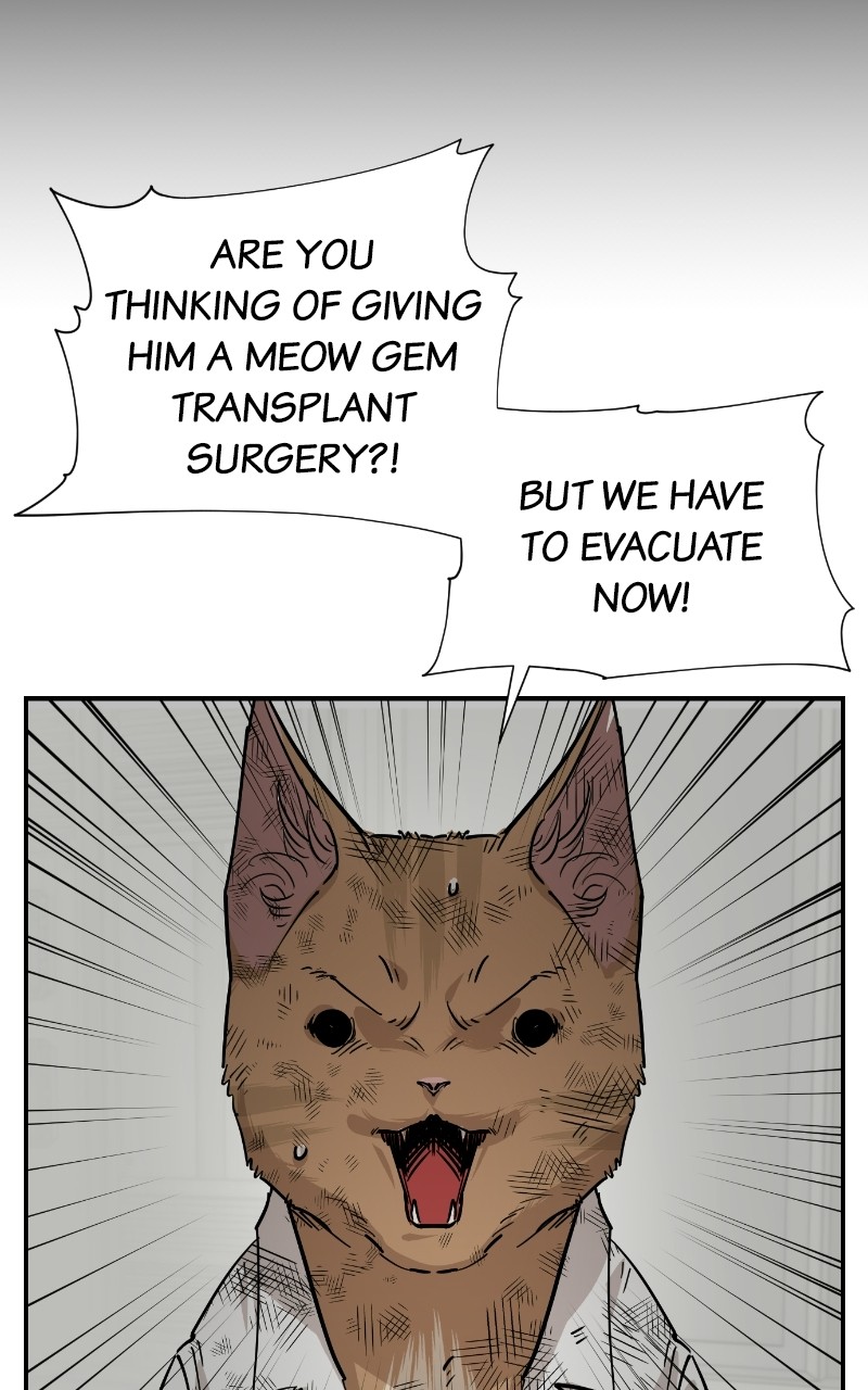 Meow Rangers Chapter 70 - page 58