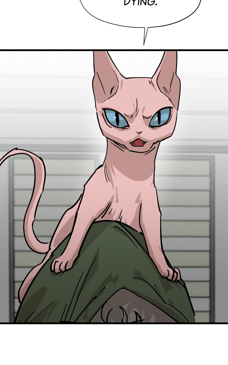 Meow Rangers Chapter 69 - page 36