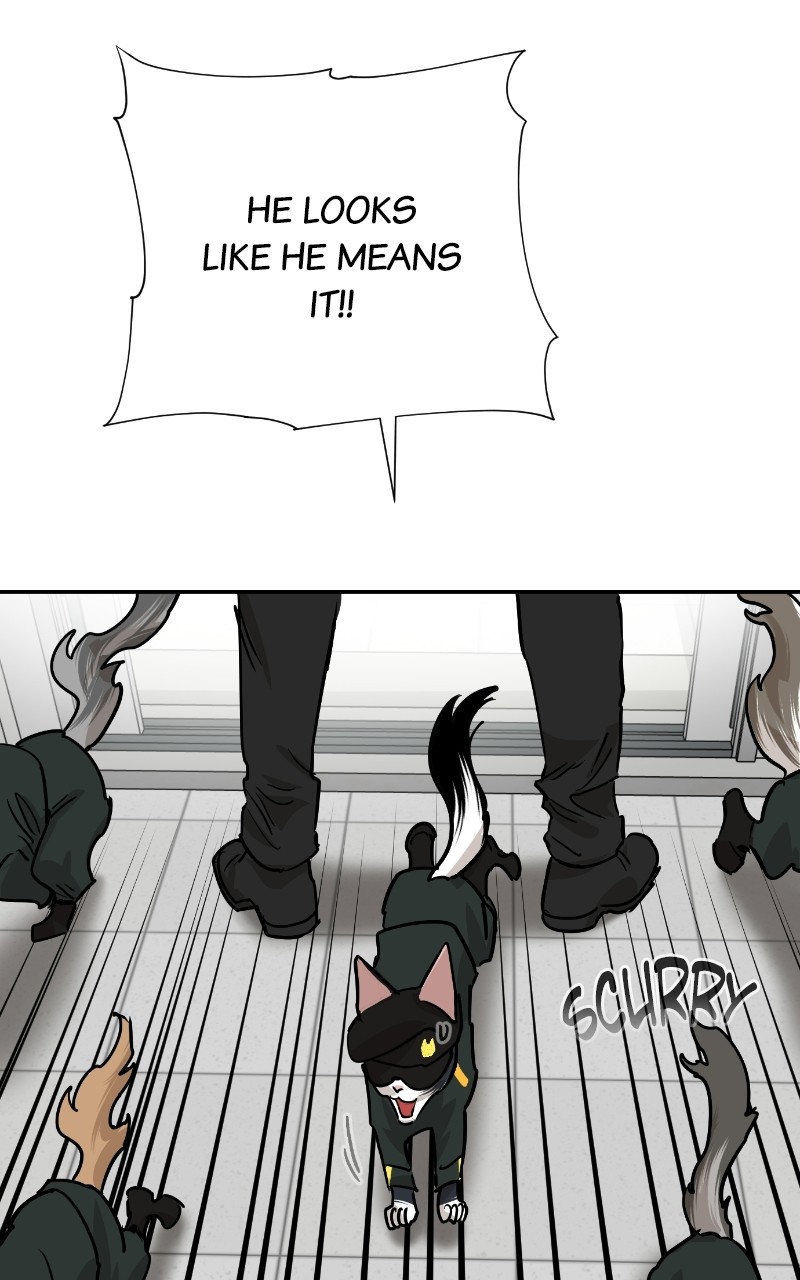 Meow Rangers Chapter 69 - page 39