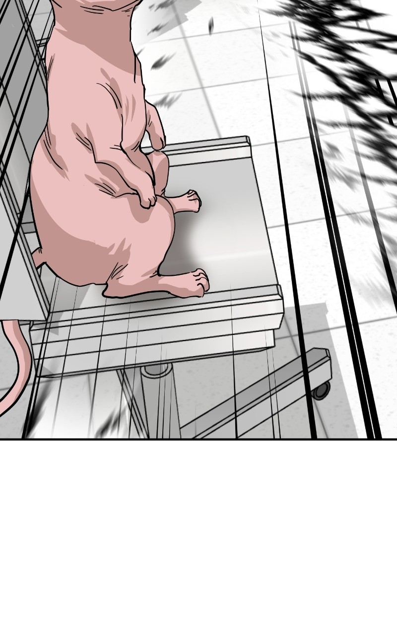 Meow Rangers Chapter 69 - page 70