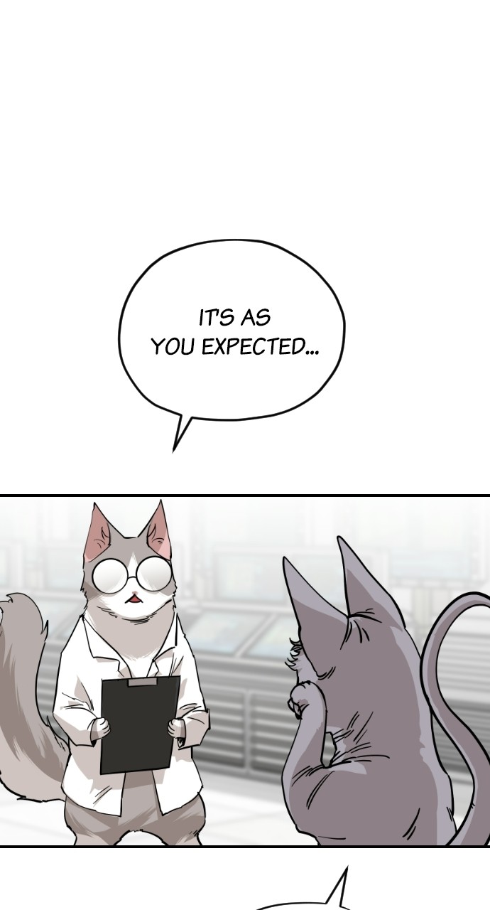 Meow Rangers Chapter 61 - page 26