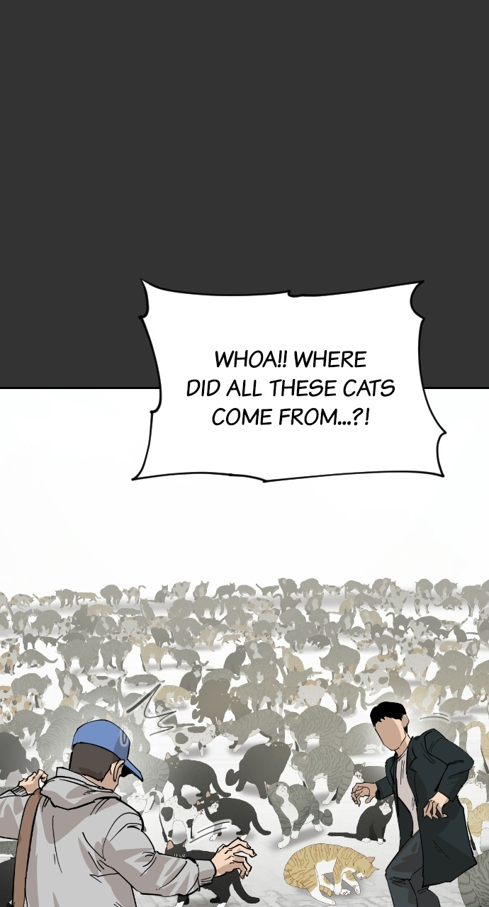 Meow Rangers Chapter 59 - page 17