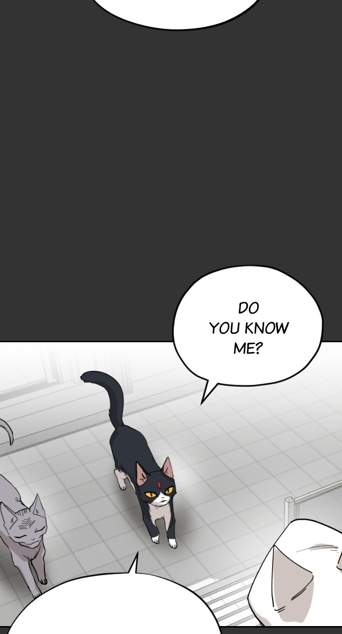 Meow Rangers Chapter 59 - page 36