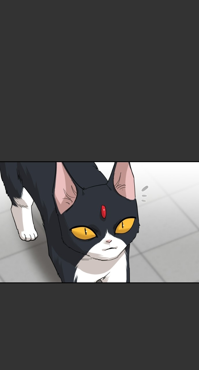 Meow Rangers Chapter 59 - page 39