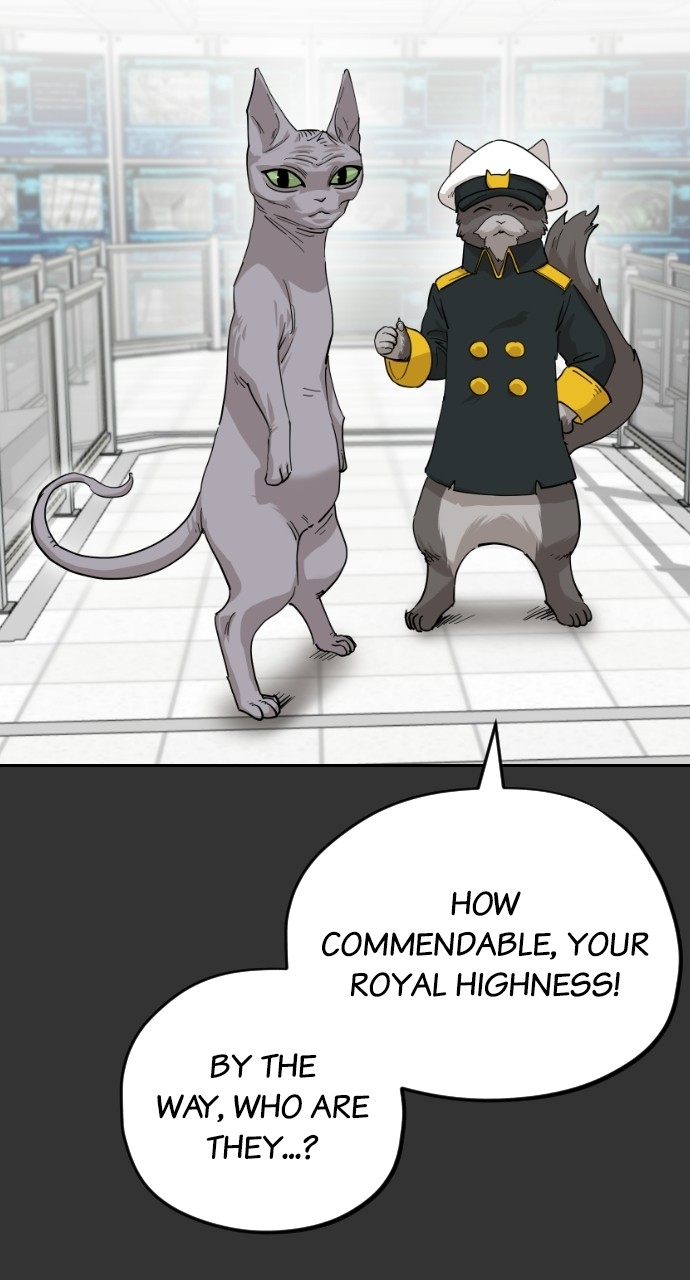 Meow Rangers Chapter 59 - page 43