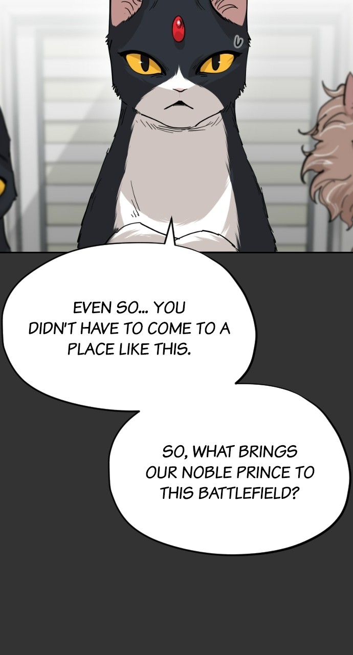 Meow Rangers Chapter 59 - page 47
