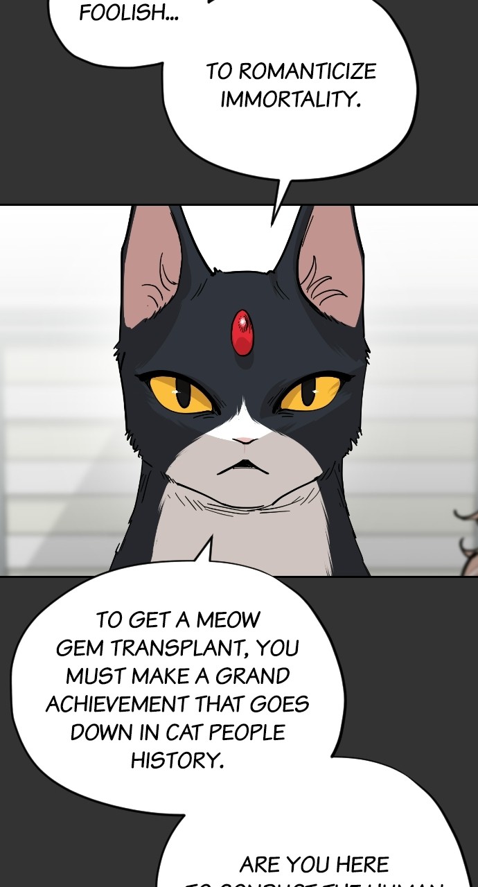 Meow Rangers Chapter 59 - page 50