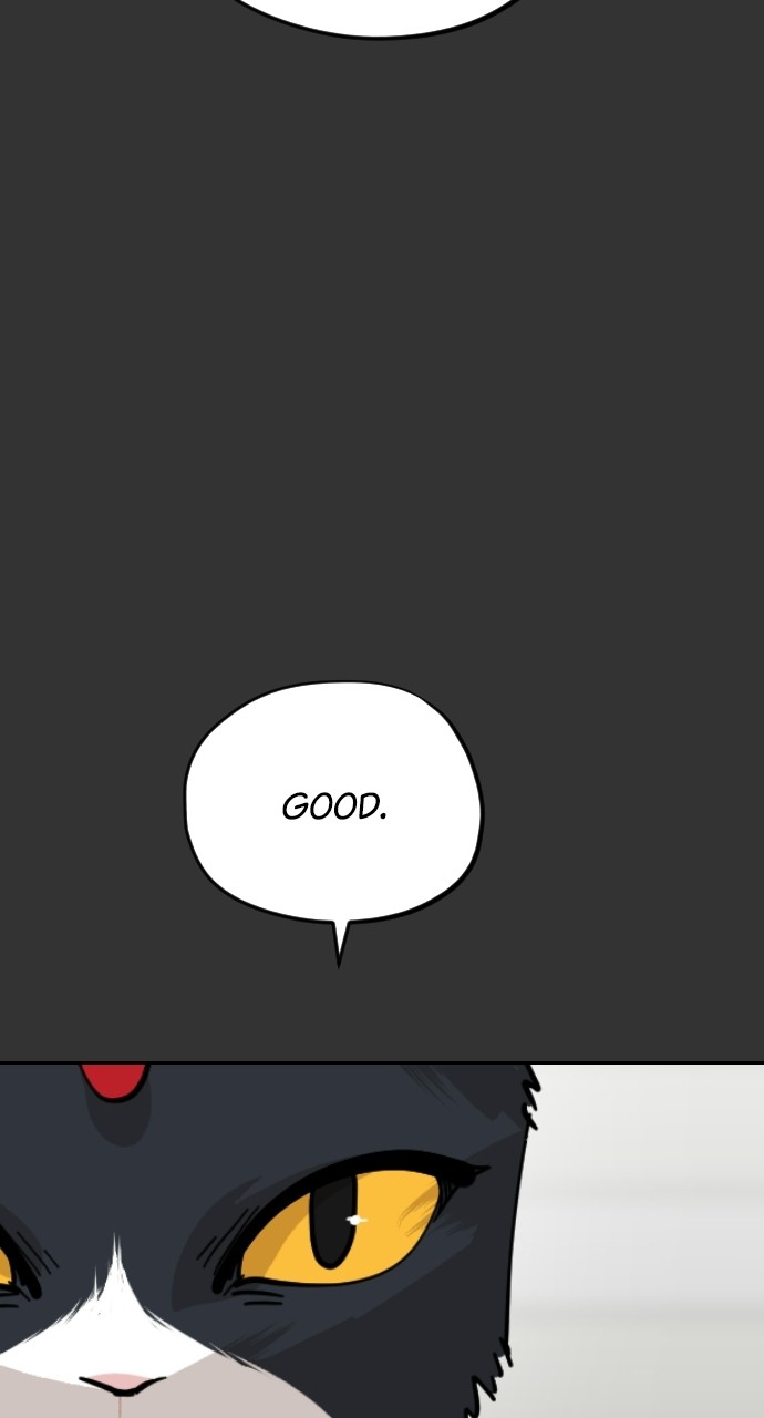 Meow Rangers Chapter 59 - page 66