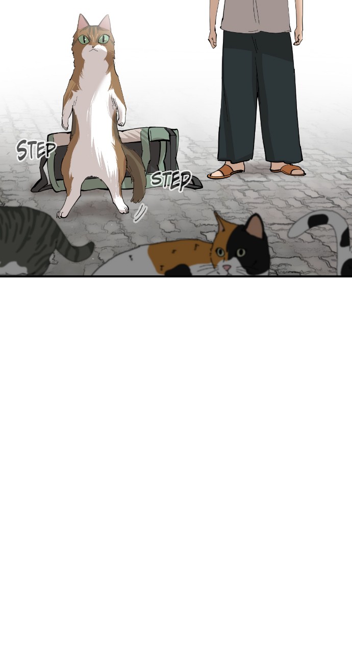 Meow Rangers Chapter 56 - page 27