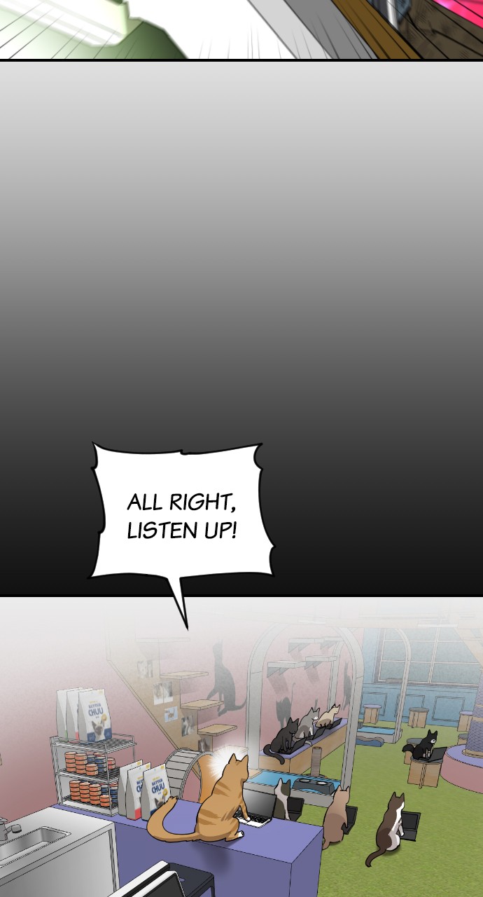 Meow Rangers Chapter 53 - page 50