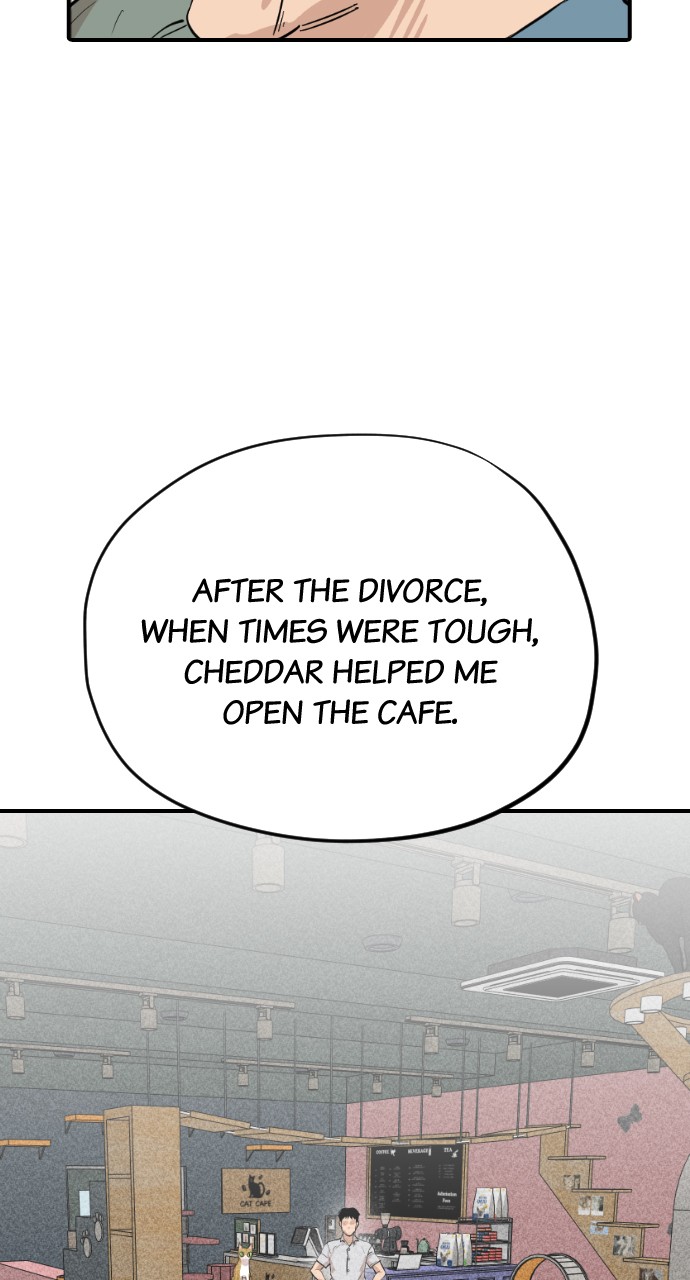 Meow Rangers Chapter 38 - page 39