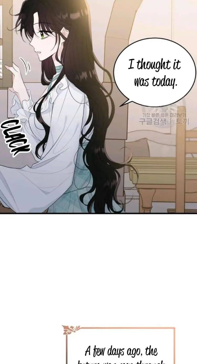 The Young Lady I Served Became a Young Master Chapter 66 - page 13