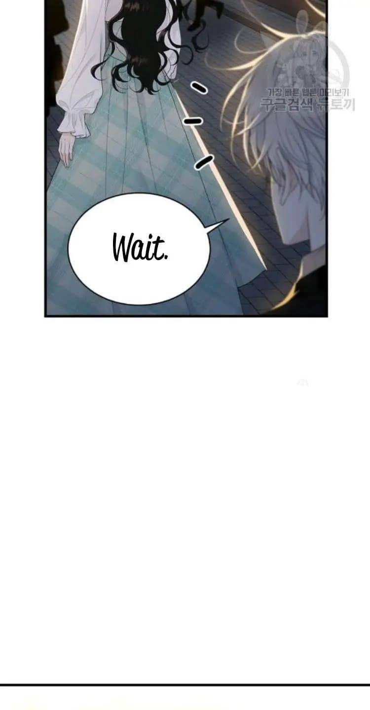 The Young Lady I Served Became a Young Master Chapter 66 - page 39