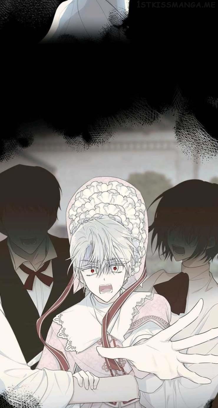 The Young Lady I Served Became a Young Master Chapter 58.5 - page 13