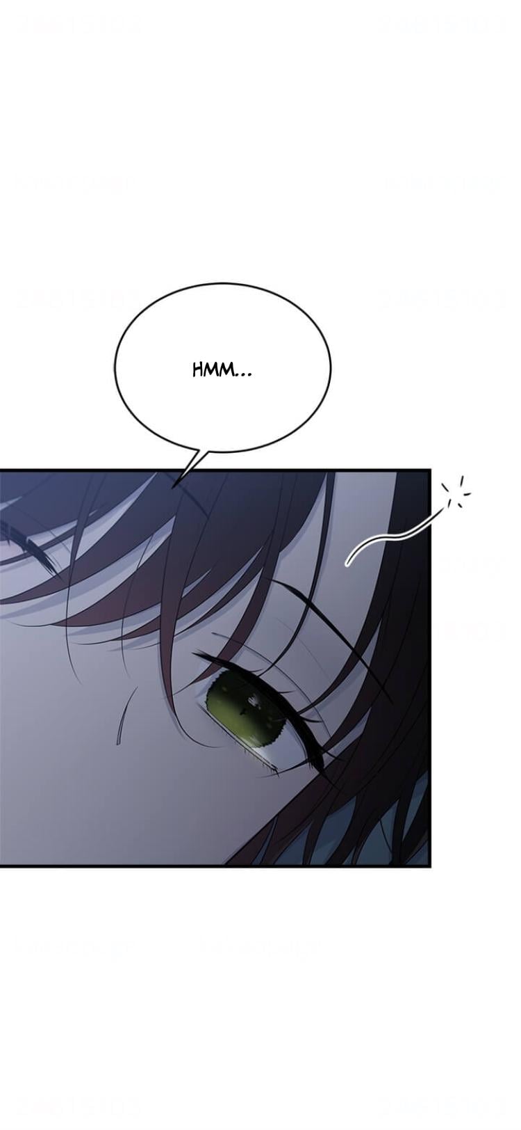 The Young Lady I Served Became a Young Master Chapter 47 - page 11