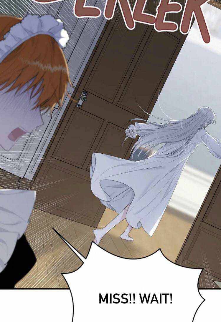 The Young Lady I Served Became a Young Master Chapter 41 - page 41