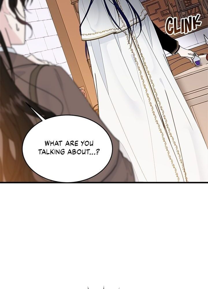 The Young Lady I Served Became a Young Master Chapter 12 - page 13