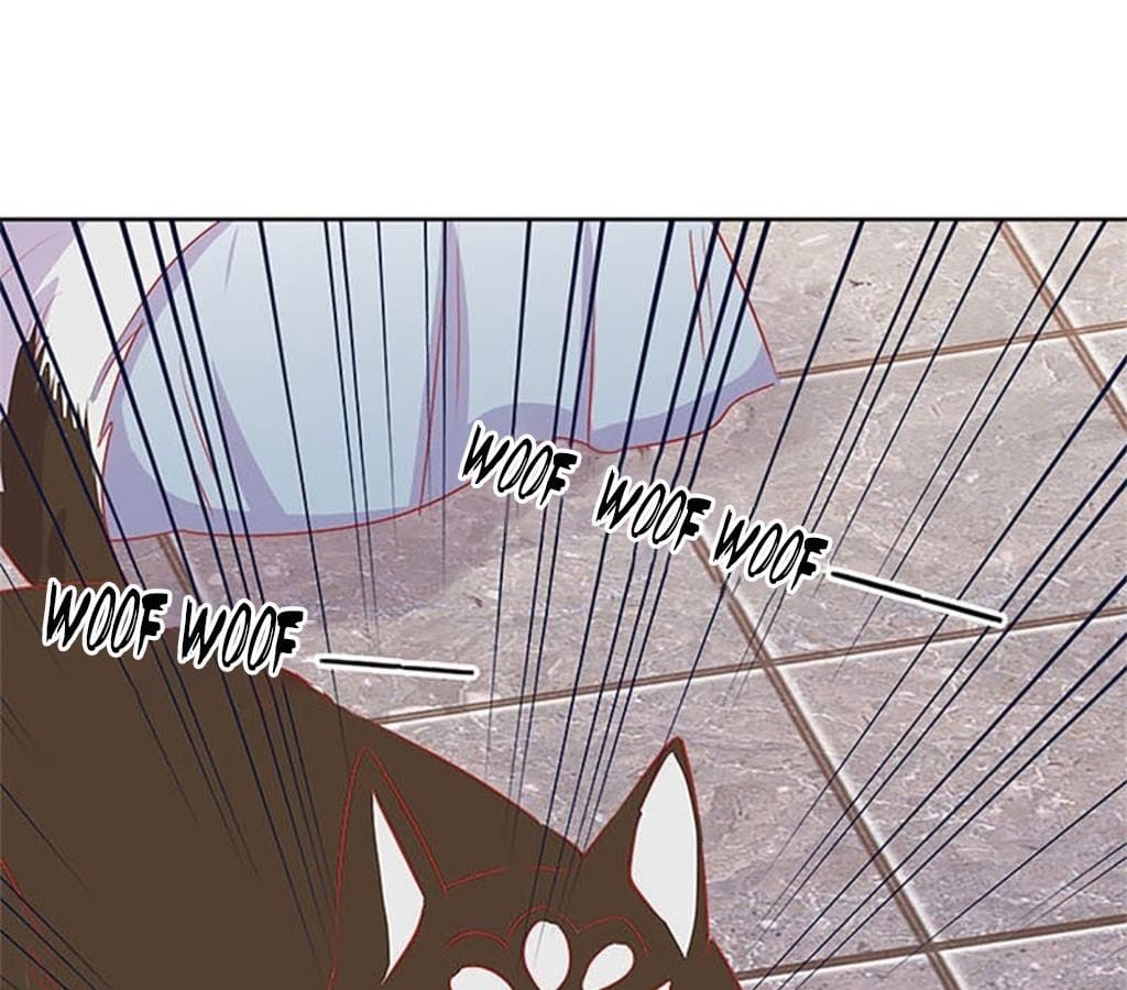 My Badboy Prince chapter 66 - page 13