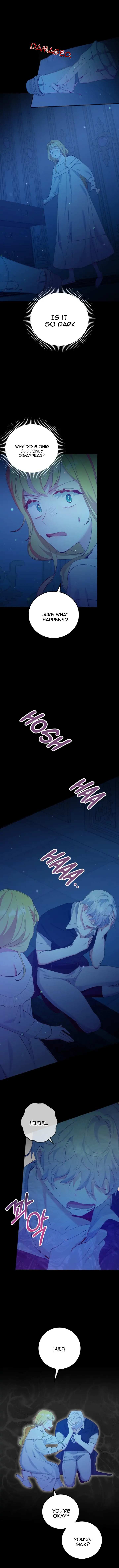 The Villainess Doesn’t Need A New Husband! Chapter 19 - page 10