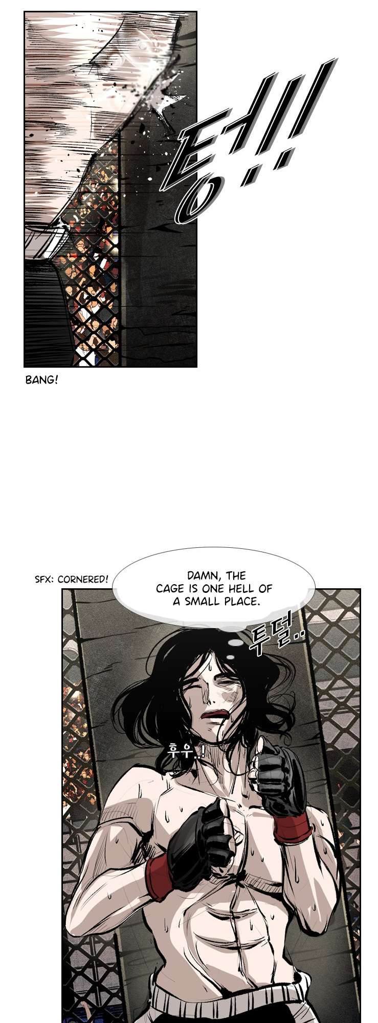 Shark - Manga chapter 147 - page 29