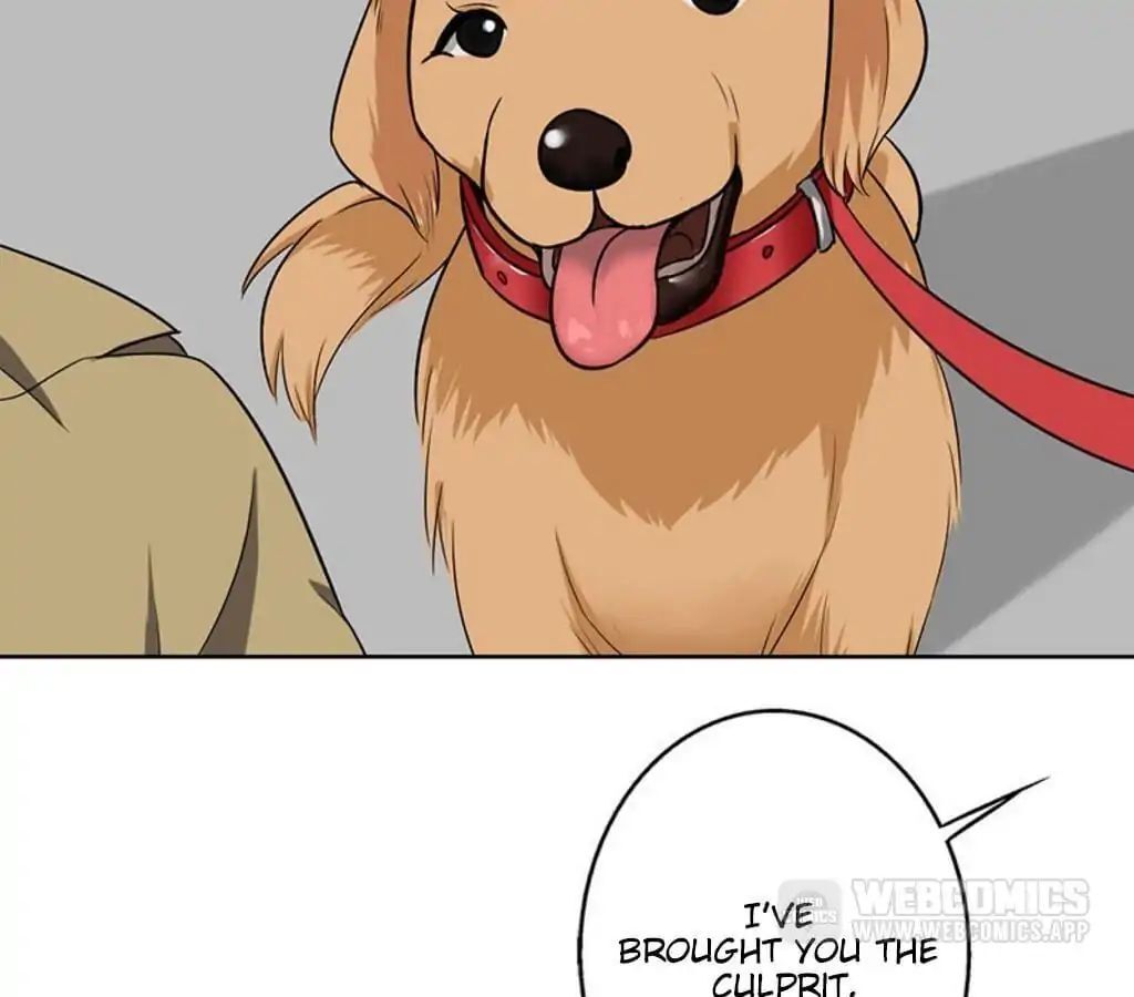 Become A Girl At Night Chapter 42 - page 2