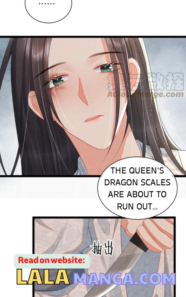 Catch A Dragon Become My Wife chapter 48 - page 45