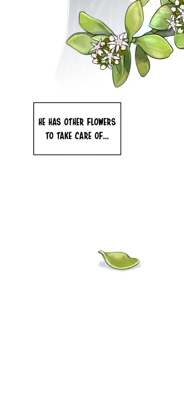 You Are My Sunshine Chapter 57 - page 31