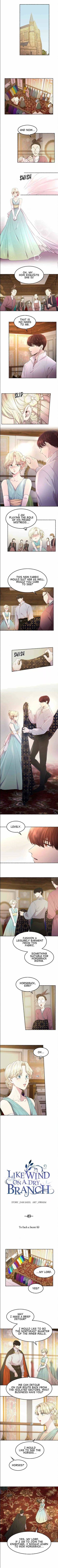 Like A Wind On A Dry Branch chapter 49 - page 1