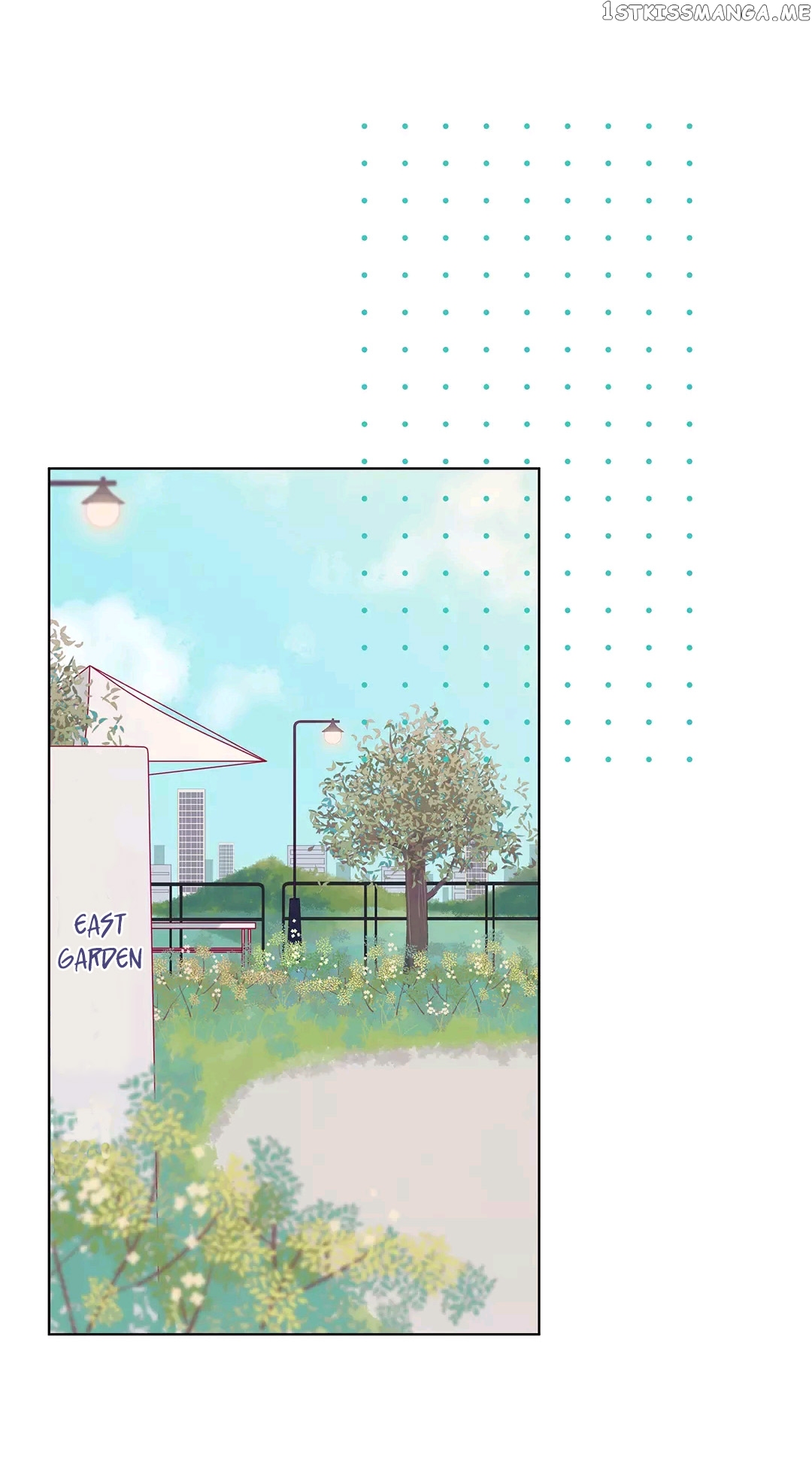 In Search Of The Twelve Golden Hairpins chapter 8 - page 19