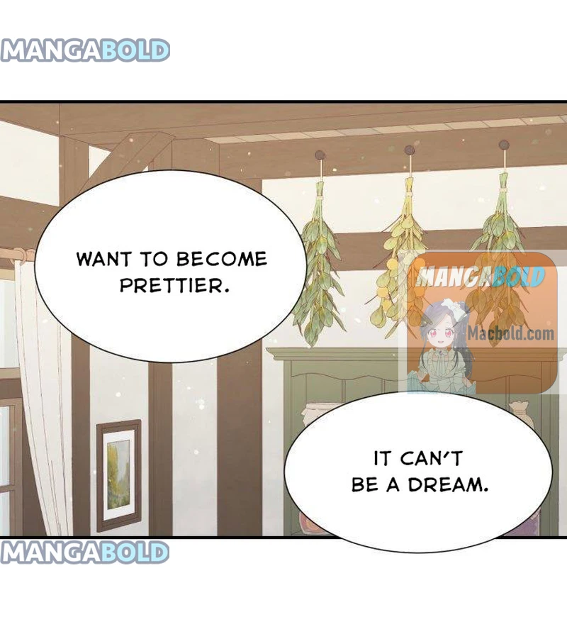 The Fake Princess’ OP Bunny chapter 47 - page 17