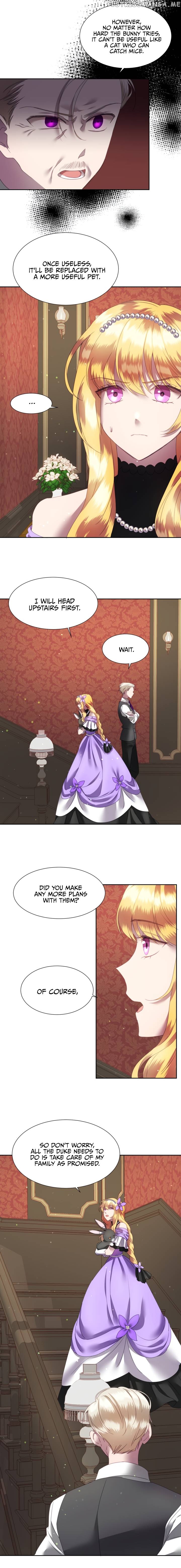 The Fake Princess’ OP Bunny chapter 7 - page 7