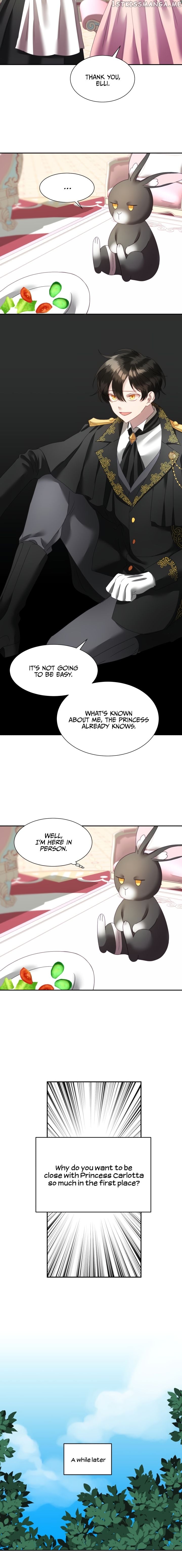 The Fake Princess’ OP Bunny chapter 4 - page 8