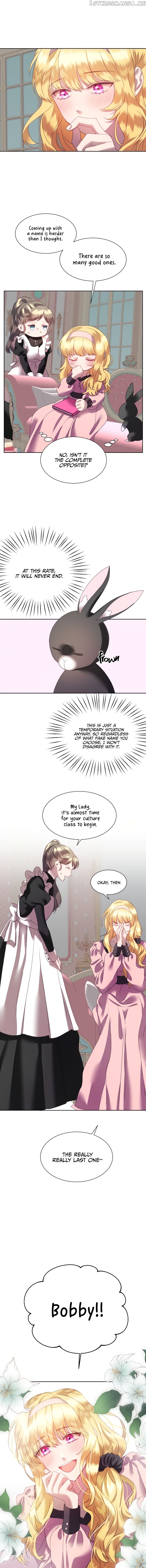 The Fake Princess’ OP Bunny chapter 3 - page 11