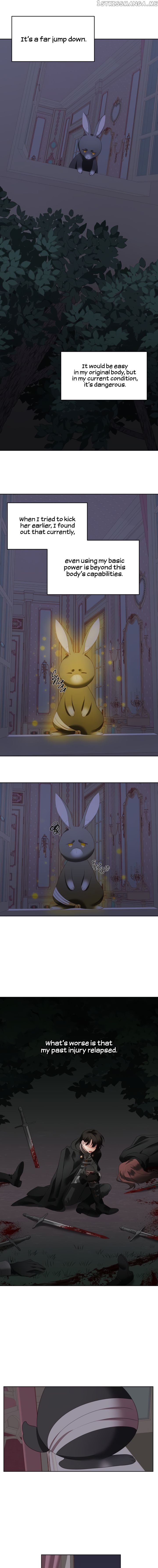 The Fake Princess’ OP Bunny chapter 3 - page 8