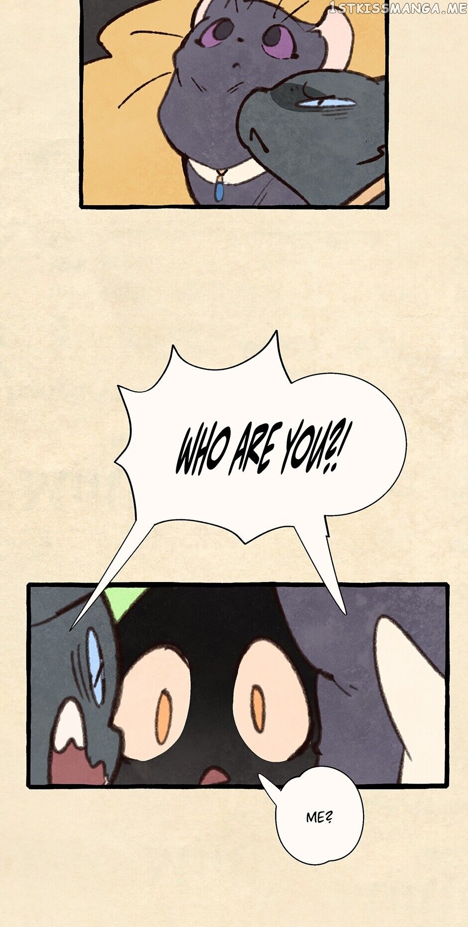 Where The Shooting Star Falls, Wait There. chapter 68 - page 6
