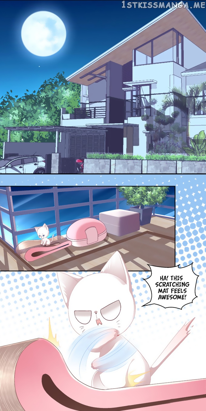 The Temptation of a Cat Demon chapter 2 - page 5