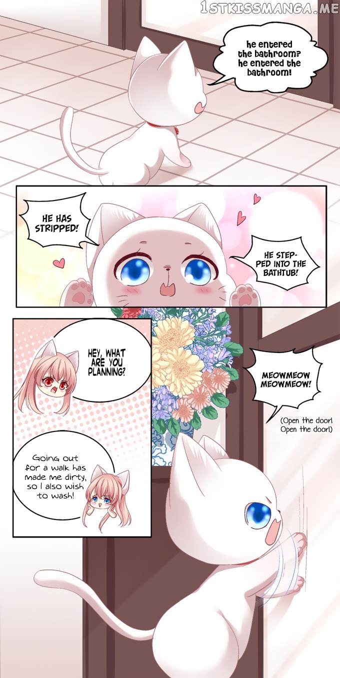 The Temptation of a Cat Demon chapter 2 - page 8