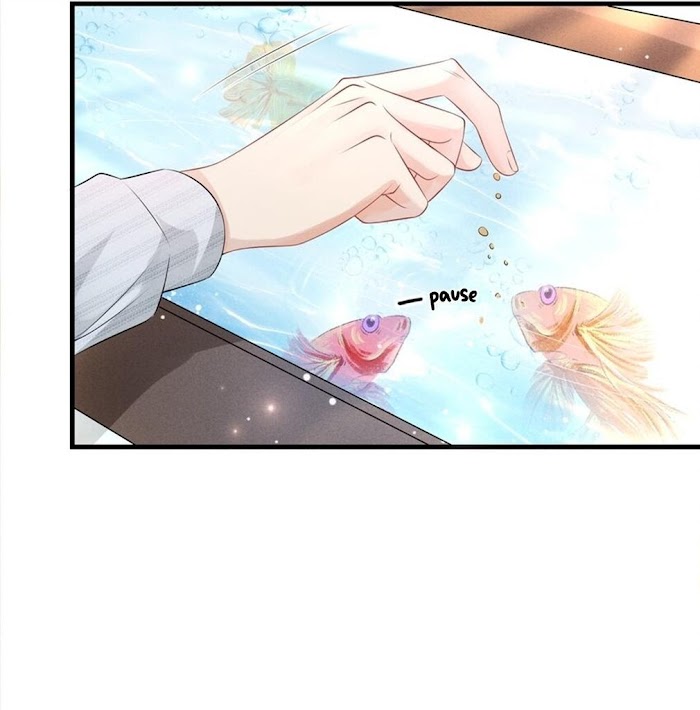 Peter Pan and Cinderella chapter 4 - page 20