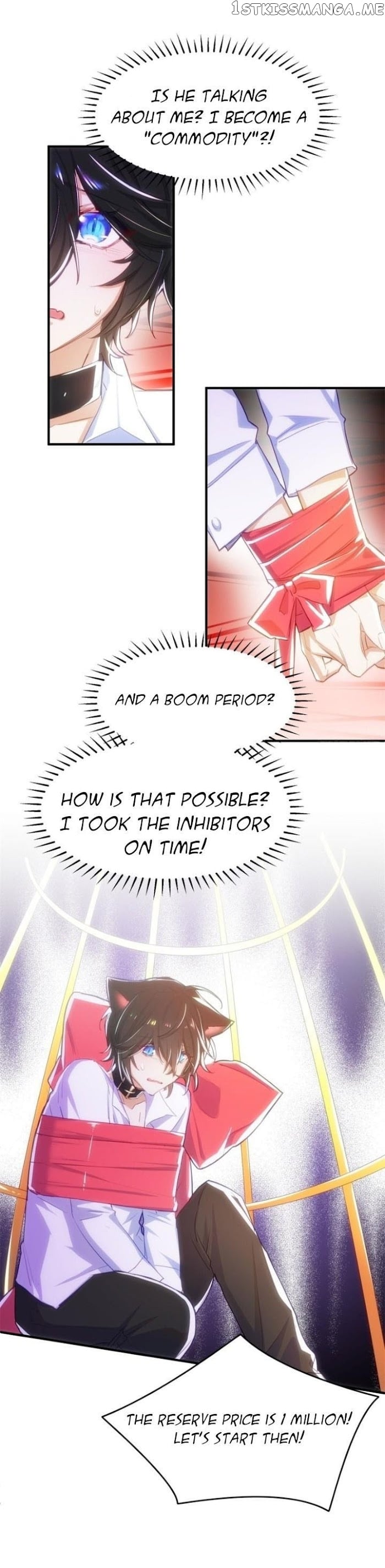 Marshal Wolf’s Double Favorite Chapter 1 - page 13