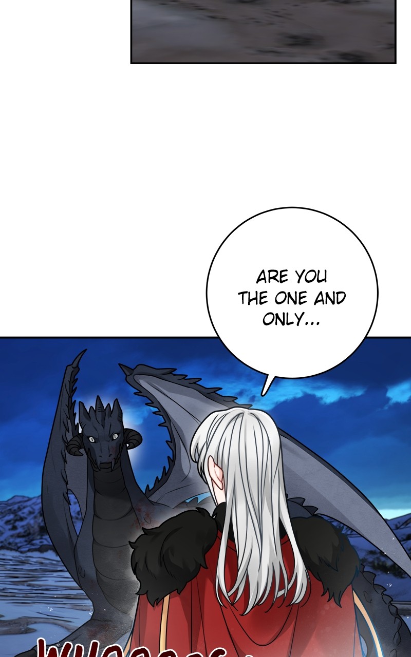 The Newlywed Life of a Witch and a Dragon Chapter 114 - page 50