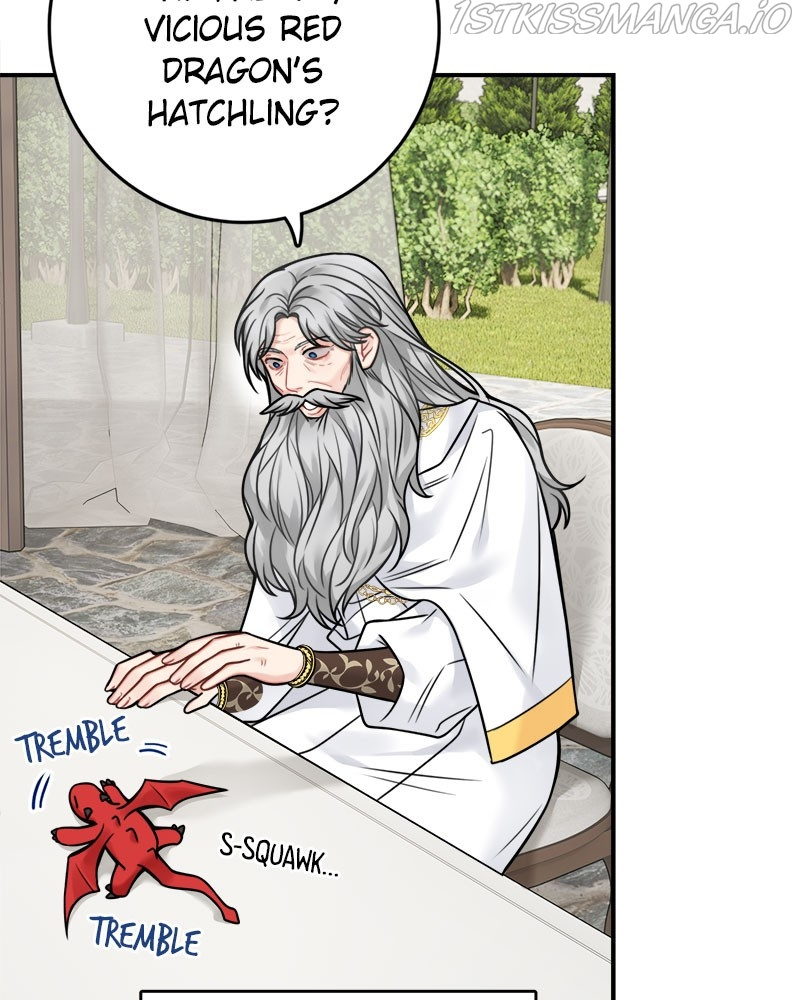 The Newlywed Life of a Witch and a Dragon chapter 81 - page 25